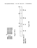 PURIFIED POLYPEPTIDE COMPRISING OR CONSISTING OF A C-TERMINUS MSP1 ANTIGEN FROM PLASMODIUM FALCIPARUM CARRYING A GLYCOSYL-PHOSPHATIDYL-INOSITOL GROUP (GPI) diagram and image