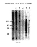 PURIFIED POLYPEPTIDE COMPRISING OR CONSISTING OF A C-TERMINUS MSP1 ANTIGEN FROM PLASMODIUM FALCIPARUM CARRYING A GLYCOSYL-PHOSPHATIDYL-INOSITOL GROUP (GPI) diagram and image