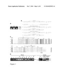 TRANSMEMBRANE PROSTATIC ACID PHOSPHATASE diagram and image