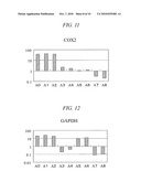 METHOD FOR DETECTION OF ADENOMA OR CANCER BY GENETIC ANALYSIS diagram and image