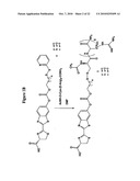 COMPOSITIONS AND METHODS FOR TRANSPORT OF MOLECULES WITH ENHANCED RELEASE PROPERTIES ACROSS BIOLOGICAL BARRIERS diagram and image