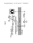 COMPOSITIONS AND METHODS FOR TRANSPORT OF MOLECULES WITH ENHANCED RELEASE PROPERTIES ACROSS BIOLOGICAL BARRIERS diagram and image