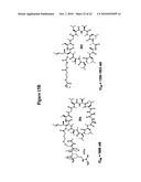 COMPOSITIONS AND METHODS FOR TRANSPORT OF MOLECULES WITH ENHANCED RELEASE PROPERTIES ACROSS BIOLOGICAL BARRIERS diagram and image