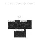 Methods of monitoring angiogenesis and metastasis in three dimensional co-cultures diagram and image