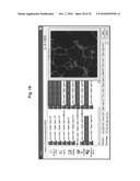 Methods of monitoring angiogenesis and metastasis in three dimensional co-cultures diagram and image