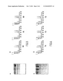 METHOD AND DEVICE FOR FIXING/STABILISING A SAMPLE diagram and image