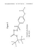 Sulfonyl semicarbazides, carbonyl semicarbazides, semicarbazides and ureas, pharmaceutical compositions thereof, and methods for treating hemorrhagic fever viruses, including infections associated with arenaviruses diagram and image