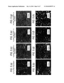 ORGANIC ELECTROLUMINESCENT DEVICE AND METHOD FOR MANUFACTURING THE SAME diagram and image