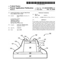 PASSIVATED OPTICAL DETECTORS WITH FULL PROTECTION LAYER diagram and image