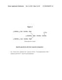 Methods and Structural Conformations of Antibody Preparations with Increased Resistance to Proteases diagram and image