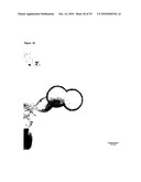 De-N-acetyl sialic acid antigens, antibodies thereto, and methods of use in cancer therapy diagram and image