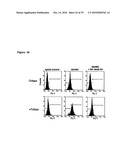 De-N-acetyl sialic acid antigens, antibodies thereto, and methods of use in cancer therapy diagram and image