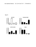 De-N-acetyl sialic acid antigens, antibodies thereto, and methods of use in cancer therapy diagram and image