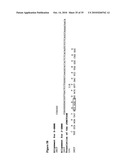 De-N-acetyl sialic acid antigens, antibodies thereto, and methods of use in cancer therapy diagram and image