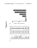 IL-33 IN INFLAMMATORY DISEASE diagram and image