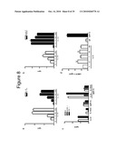 IL-33 IN INFLAMMATORY DISEASE diagram and image