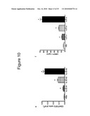 IL-33 IN INFLAMMATORY DISEASE diagram and image