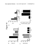 IL-33 IN INFLAMMATORY DISEASE diagram and image