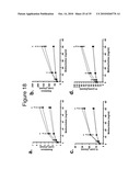 IL-33 IN INFLAMMATORY DISEASE diagram and image