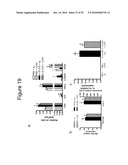 IL-33 IN INFLAMMATORY DISEASE diagram and image