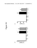 IL-33 IN INFLAMMATORY DISEASE diagram and image