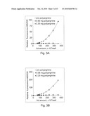 Uniform field magnetization and targeting of therapeutic formulations diagram and image