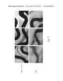 Uniform field magnetization and targeting of therapeutic formulations diagram and image