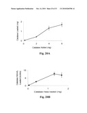 Uniform field magnetization and targeting of therapeutic formulations diagram and image