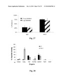 Uniform field magnetization and targeting of therapeutic formulations diagram and image