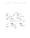 Immune Stimulatory Oligoribonucleotide Analogs Containing Modified Oligophosphate Moieties diagram and image