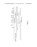 Attenuated Uracil Auxotroph of an Apicomplexan and Use Thereof diagram and image