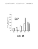 Attenuated Uracil Auxotroph of an Apicomplexan and Use Thereof diagram and image