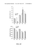 Attenuated Uracil Auxotroph of an Apicomplexan and Use Thereof diagram and image