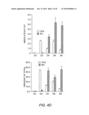 Attenuated Uracil Auxotroph of an Apicomplexan and Use Thereof diagram and image