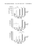 Attenuated Uracil Auxotroph of an Apicomplexan and Use Thereof diagram and image