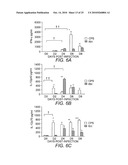 Attenuated Uracil Auxotroph of an Apicomplexan and Use Thereof diagram and image