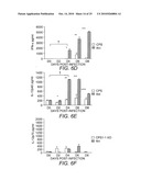 Attenuated Uracil Auxotroph of an Apicomplexan and Use Thereof diagram and image