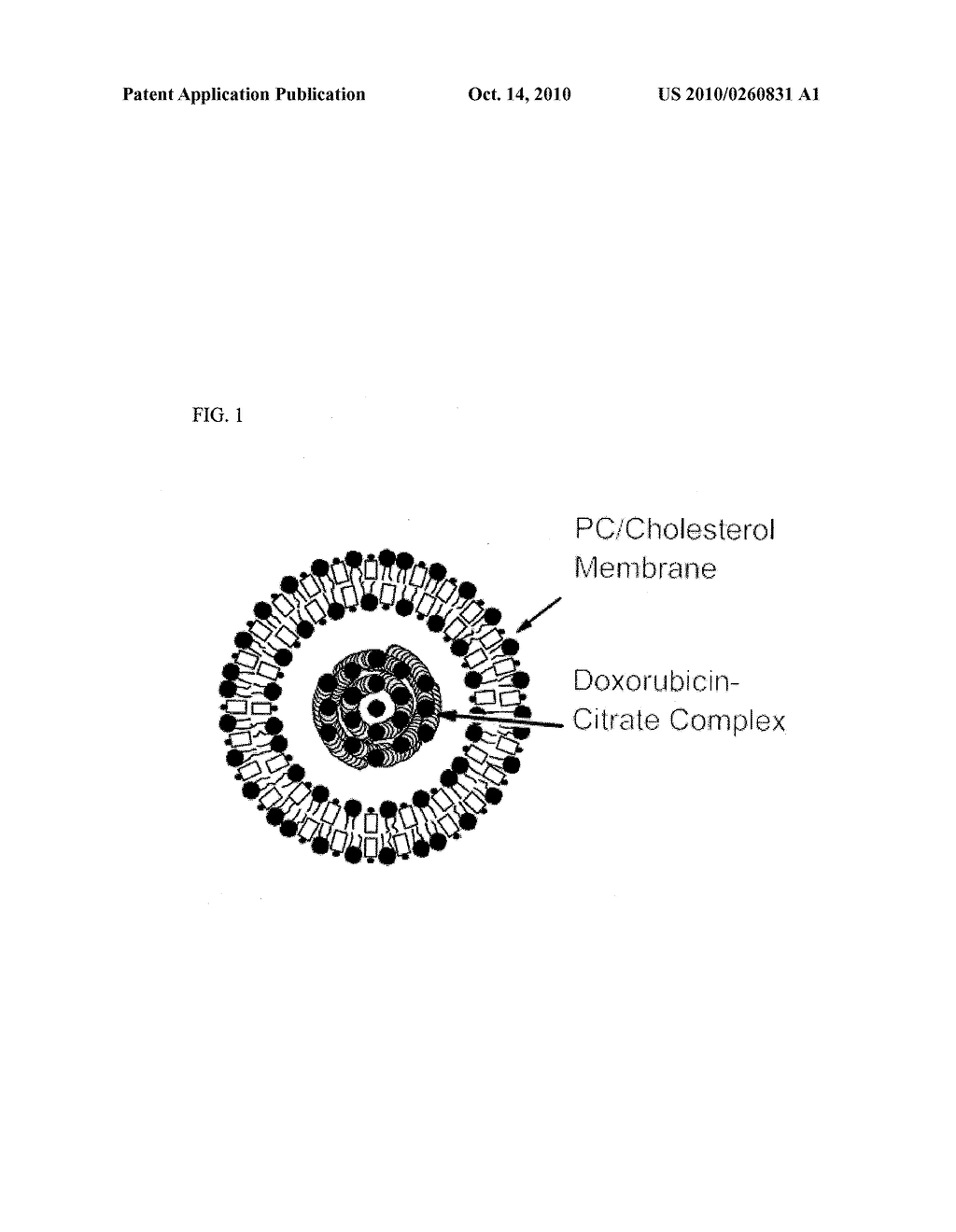 NON-PEGYLATED LIPOSOMAL DOXORUBICIN TRIPLE COMBINATION THERAPY - diagram, schematic, and image 02