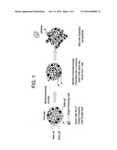 DELIVERY OF AS-OLIGONUCLEOTIDE MICROSPHERES TO INDUCE DENDRITIC CELL TOLERANCE FOR THE TREATMENT OF AUTOIMMUNE TYPE 1 DIABETES diagram and image
