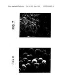 DELIVERY OF AS-OLIGONUCLEOTIDE MICROSPHERES TO INDUCE DENDRITIC CELL TOLERANCE FOR THE TREATMENT OF AUTOIMMUNE TYPE 1 DIABETES diagram and image