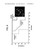 DELIVERY OF AS-OLIGONUCLEOTIDE MICROSPHERES TO INDUCE DENDRITIC CELL TOLERANCE FOR THE TREATMENT OF AUTOIMMUNE TYPE 1 DIABETES diagram and image