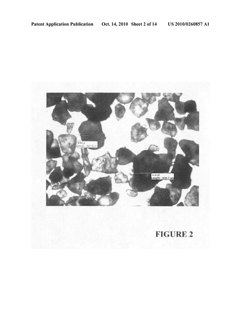 Enzyme delivery systems and methods of preparation and use - diagram, schematic, and image 03