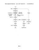 Novel corn degerming Ethanol fermentation processes diagram and image