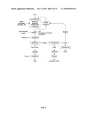 Novel corn degerming Ethanol fermentation processes diagram and image