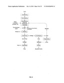 Novel corn degerming Ethanol fermentation processes diagram and image