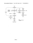 Novel corn degerming Ethanol fermentation processes diagram and image