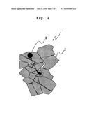 Protective Member and Protective Body Using the Same diagram and image