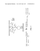 LABELED ENZYME COMPOSITIONS, METHODS AND SYSTEMS diagram and image