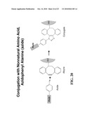 LABELED ENZYME COMPOSITIONS, METHODS AND SYSTEMS diagram and image