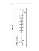 LABELED ENZYME COMPOSITIONS, METHODS AND SYSTEMS diagram and image